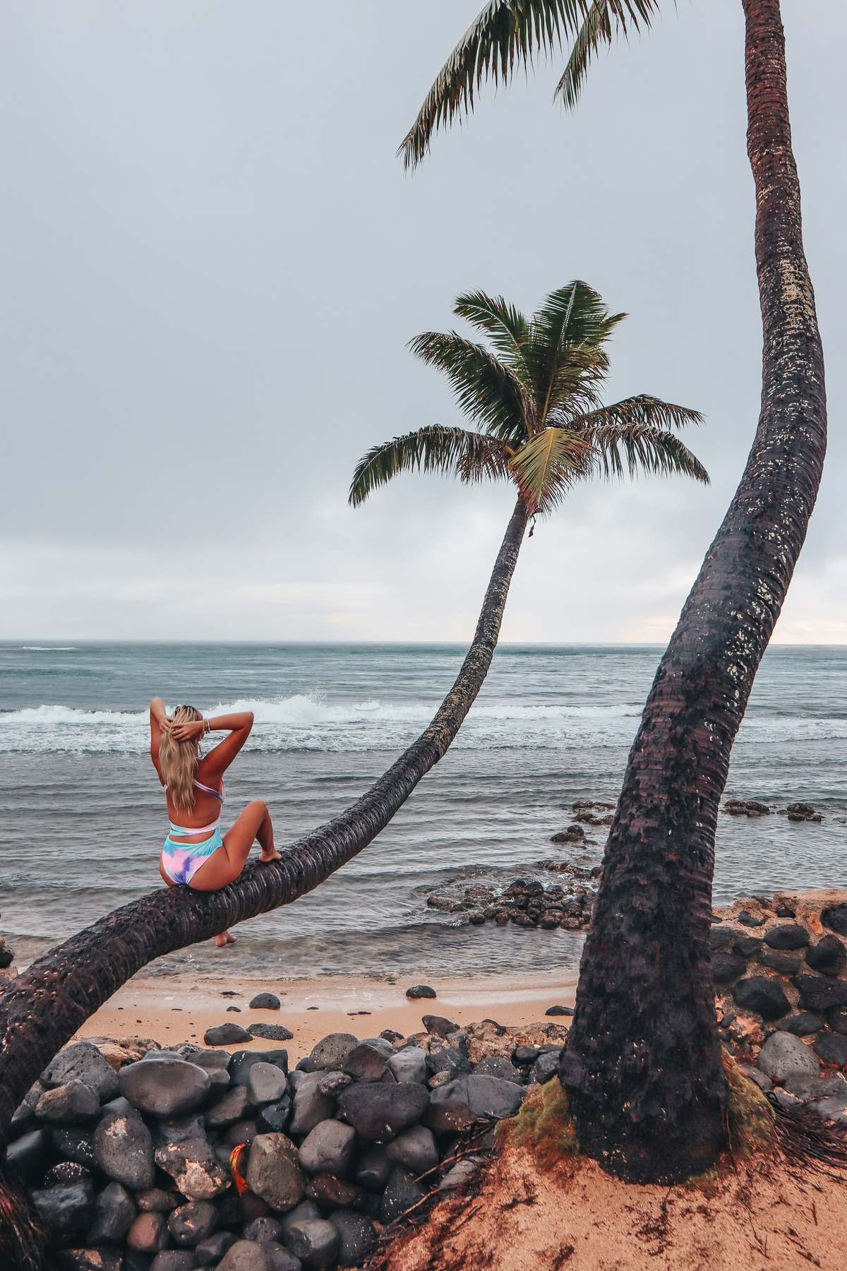 Posing on a curved palm tree on a gloomy day at a beach on Oahu