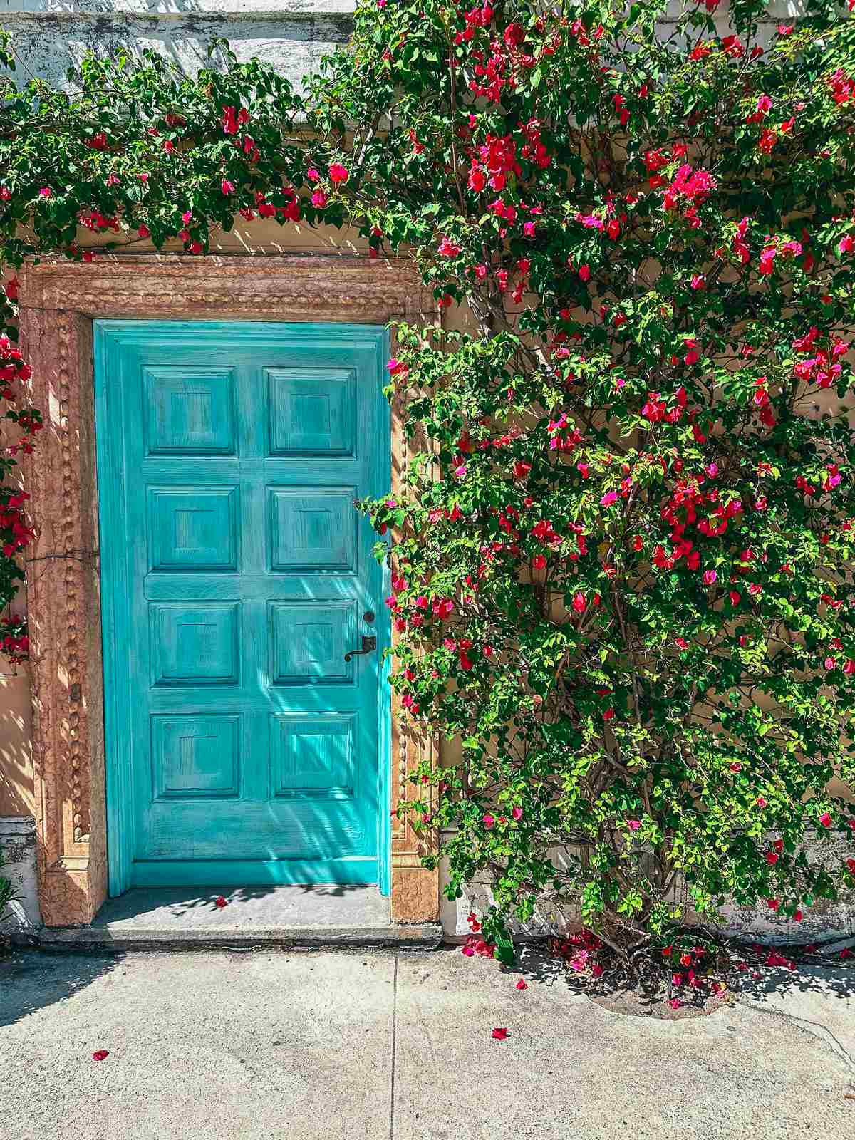 Beautiful doors in Palm Beach