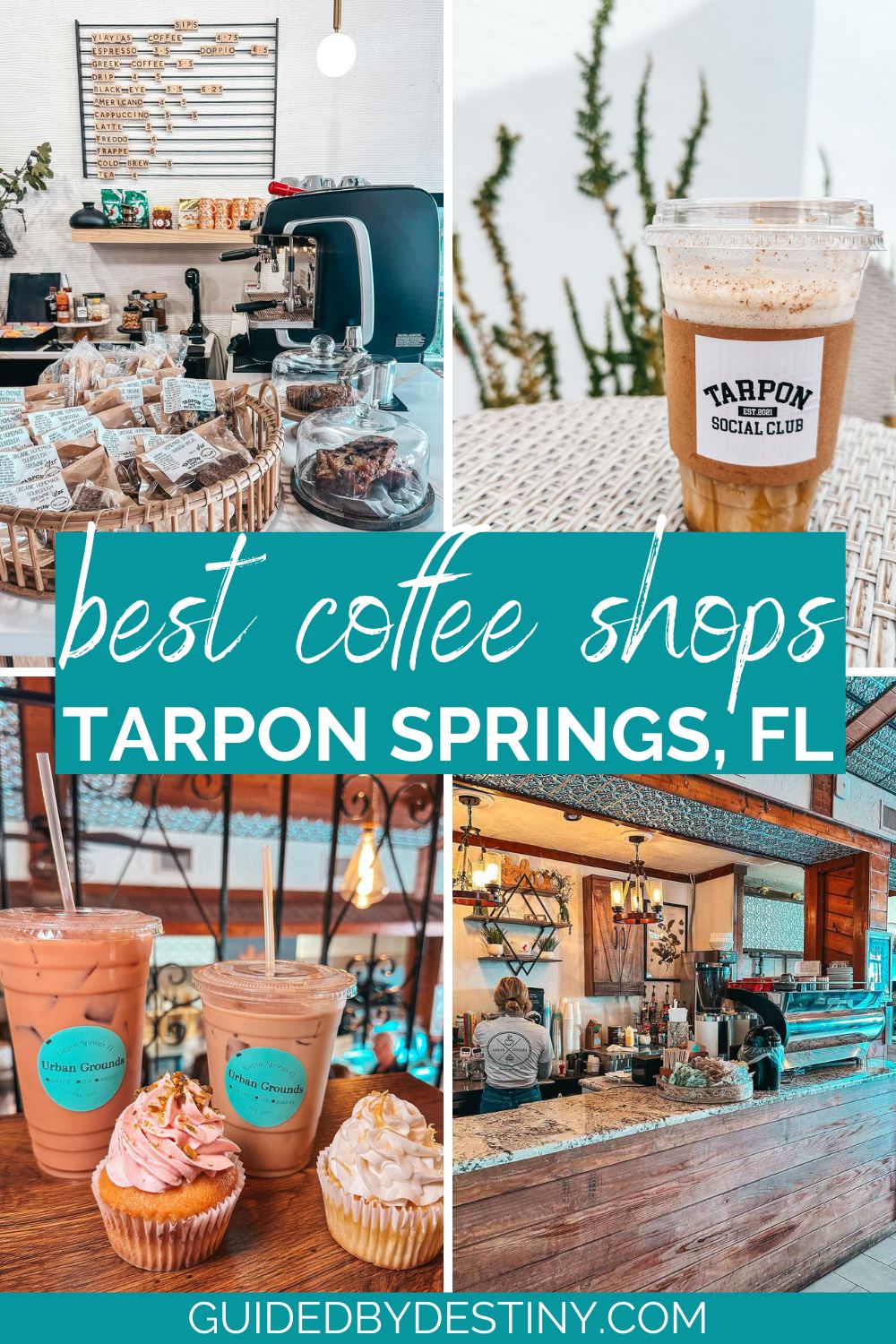 best coffee shops in tarpon springs florida