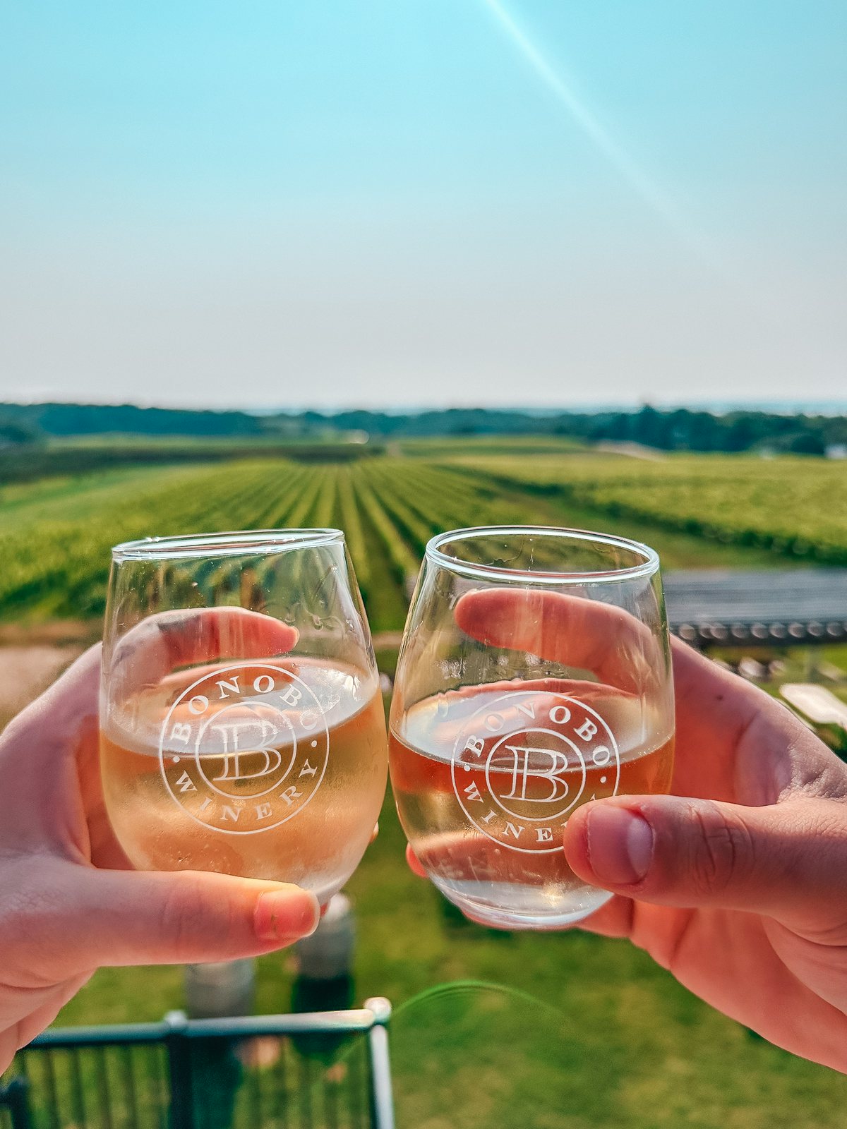 Cheers at Bonobo Winery in Traverse City Michigan