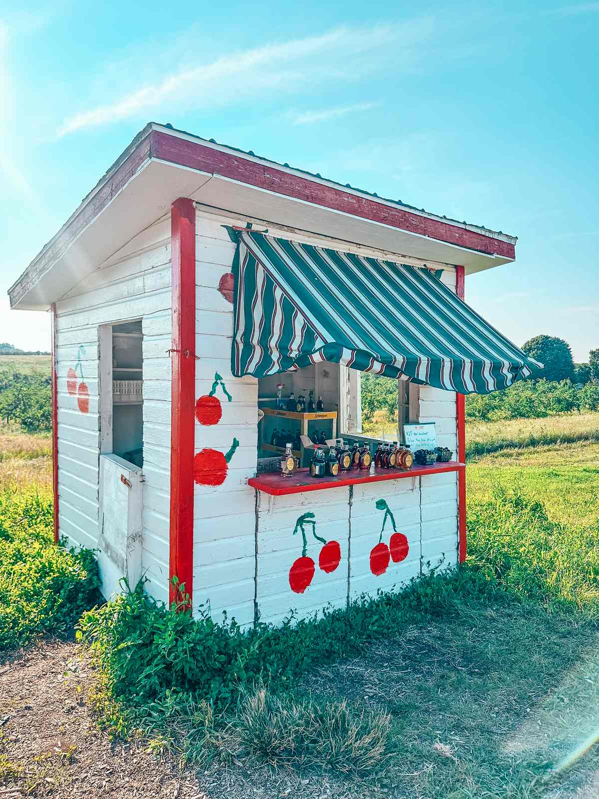 U Pick Cherry stand in the Old Mission Peninsula