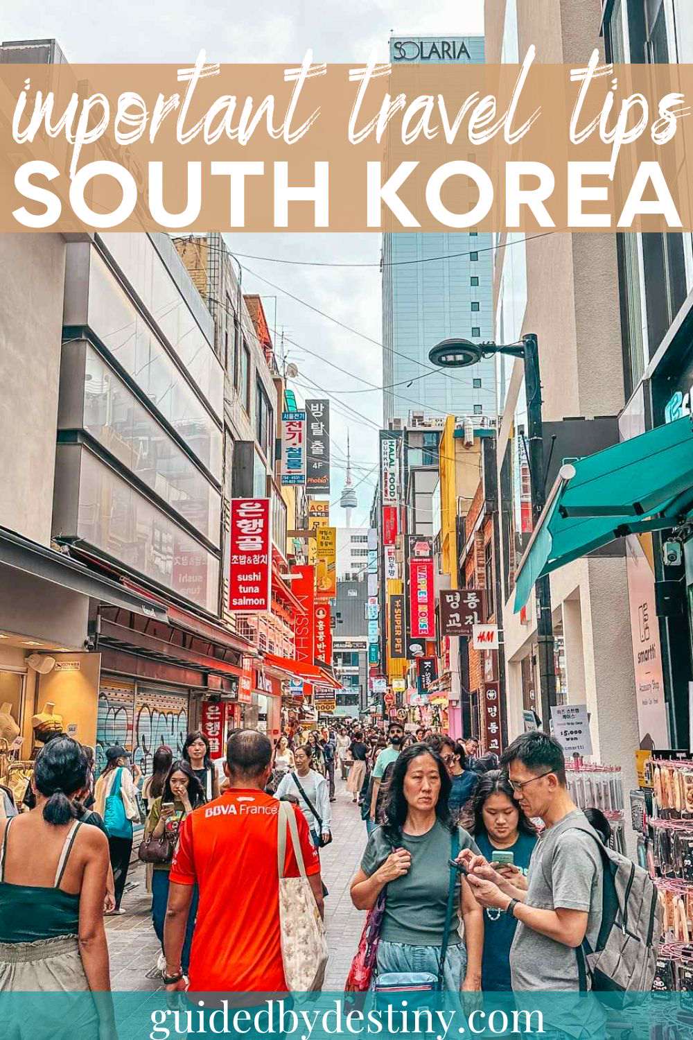 important travel tips for south korea