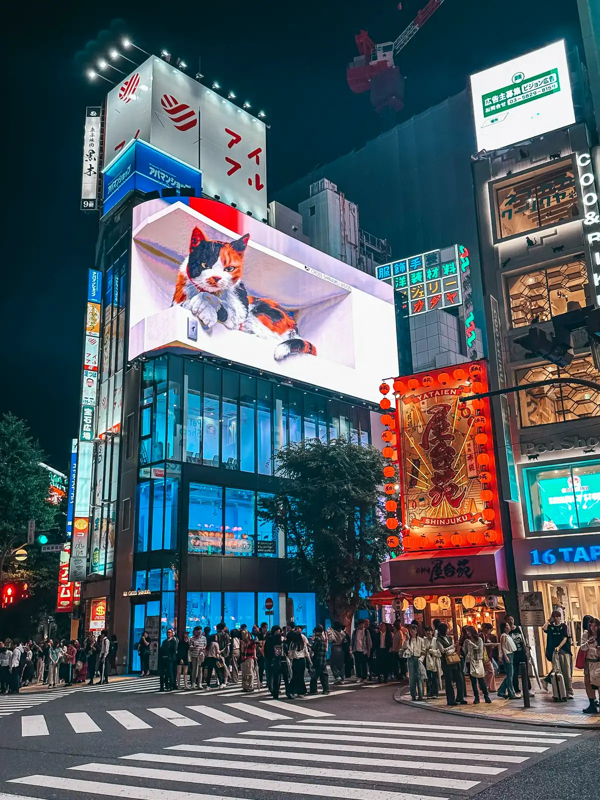 3D cat billboard in Shinjuku