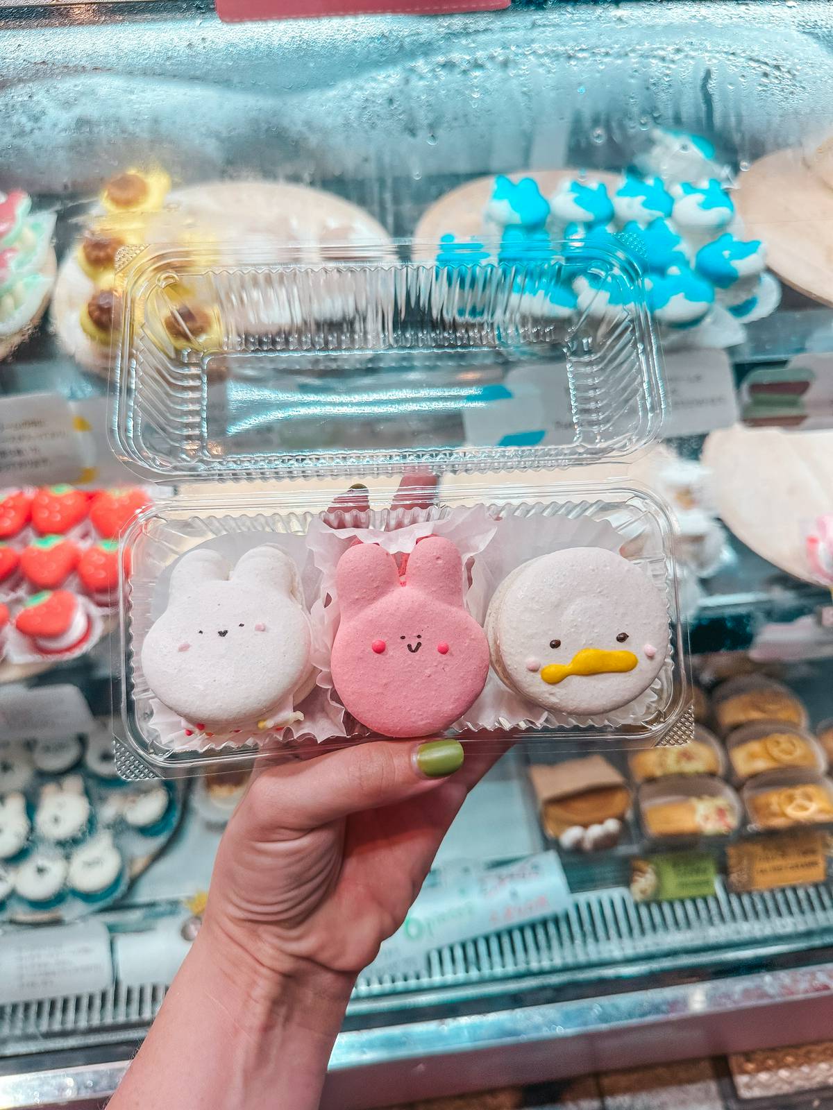 Adorable animal macarons in Osaka