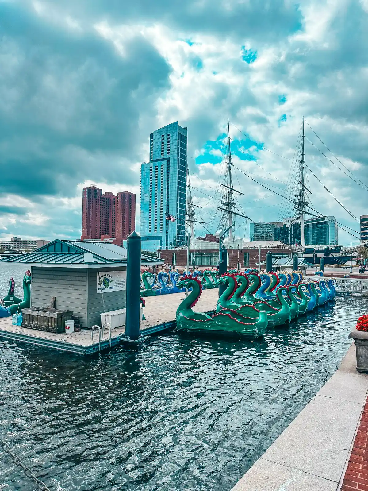 Dragon boats at Inner Harbor