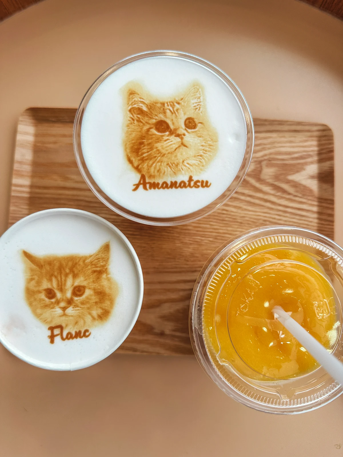 Drinks from Cat Cafe Mocha in Harajuku