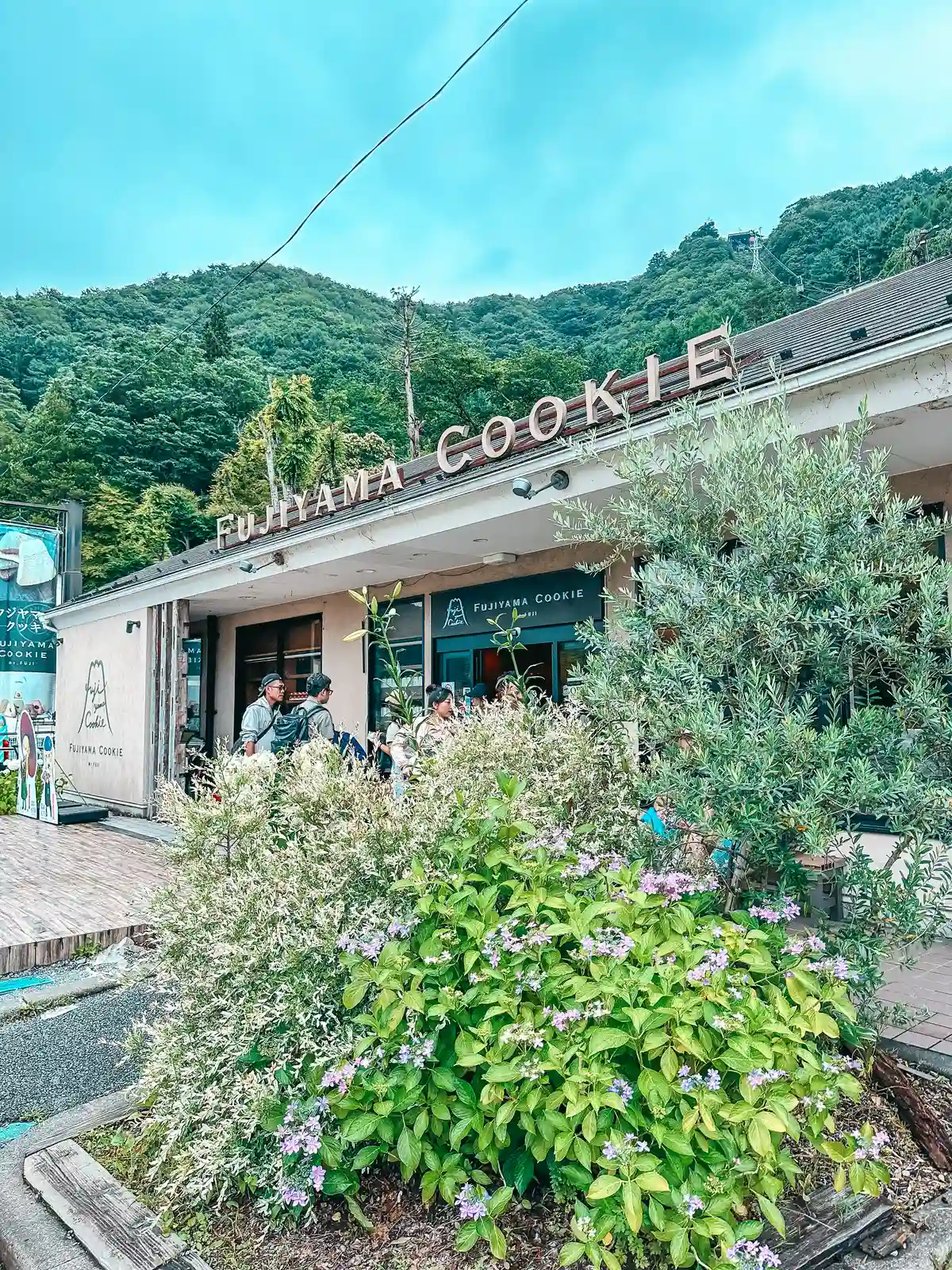 Fujiyama Cookie in Fujikawaguchiko