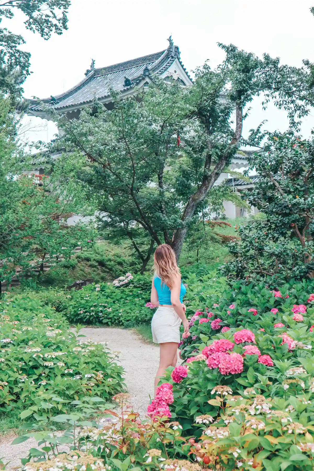 Gardens at Nijo Castle in Kyoto