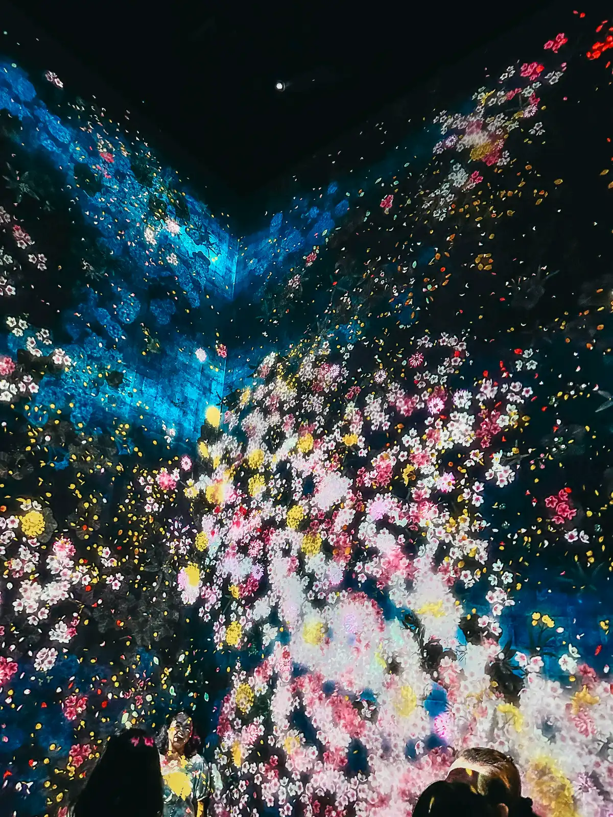 Immersive art at teamLab Borderless in Tokyo