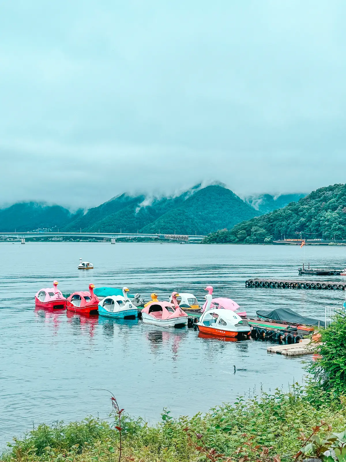 Lake Kawaguchiko swan paddle boats