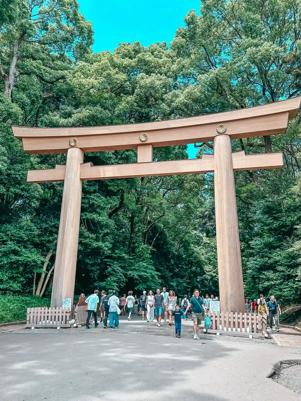 Shrine entrance at Yoyogi Park in Tokyo