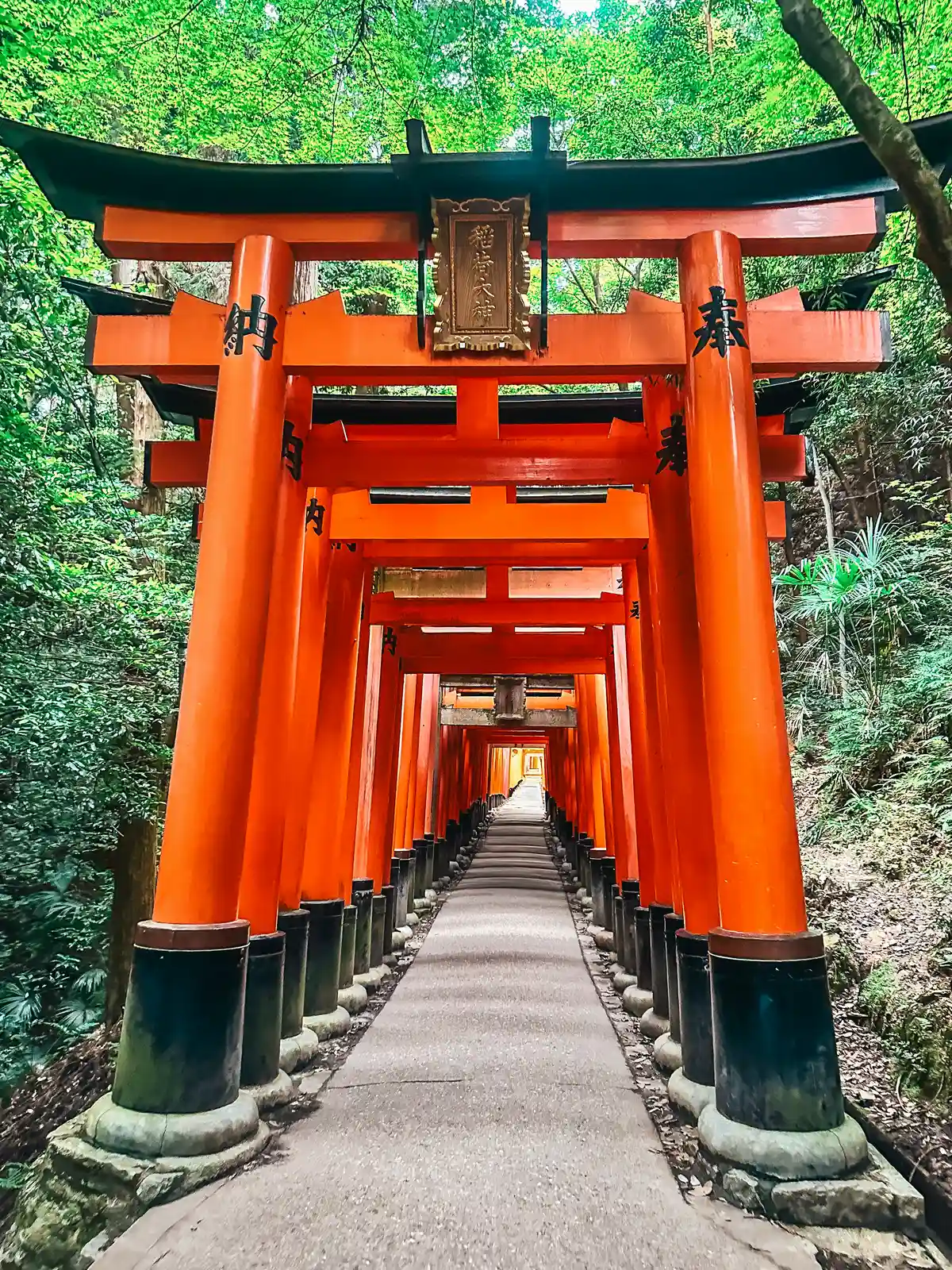 Tori gates at the Fushimi Inari Taisha Shrine in Kyoto