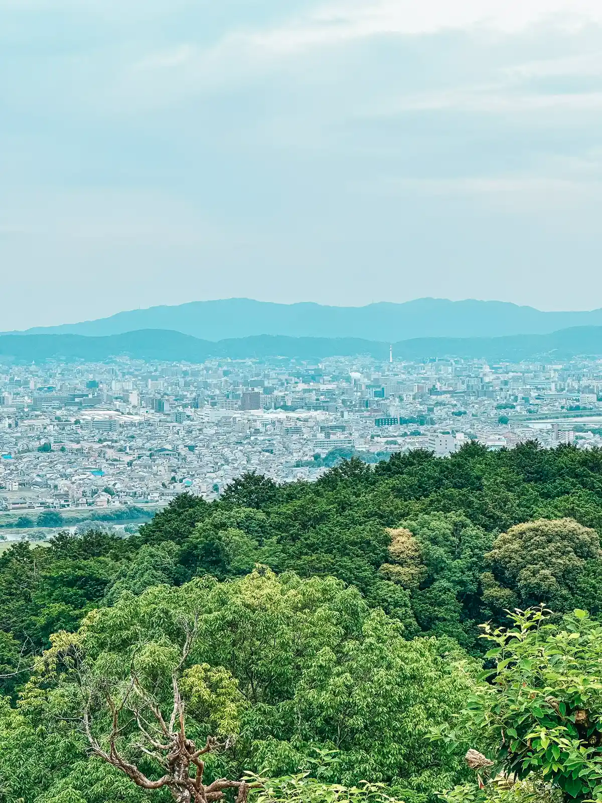 Views at Arashiyama Monkey Park Iwatayama in Kyoto Japan