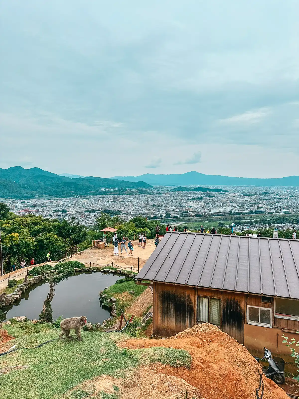 Views at Arashiyama Monkey Park Iwatayama in Kyoto