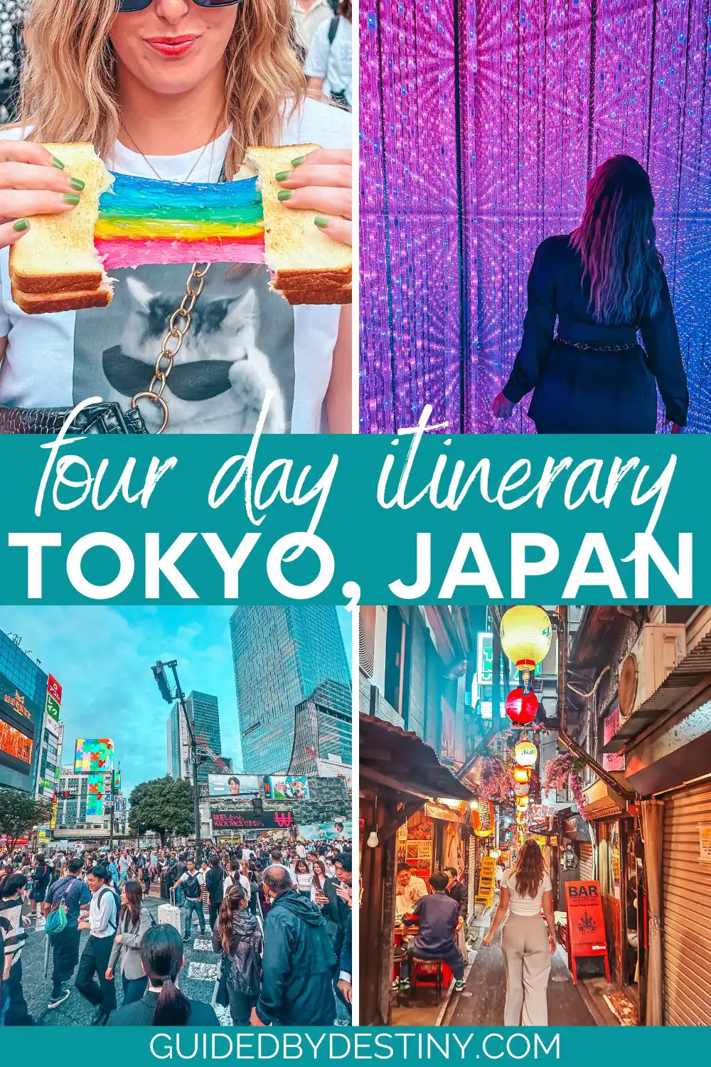 4 days in Tokyo Japan