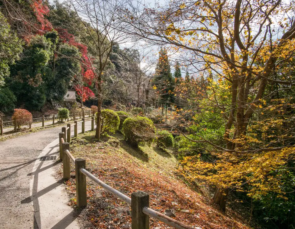 Philosophers Path in Kyoto