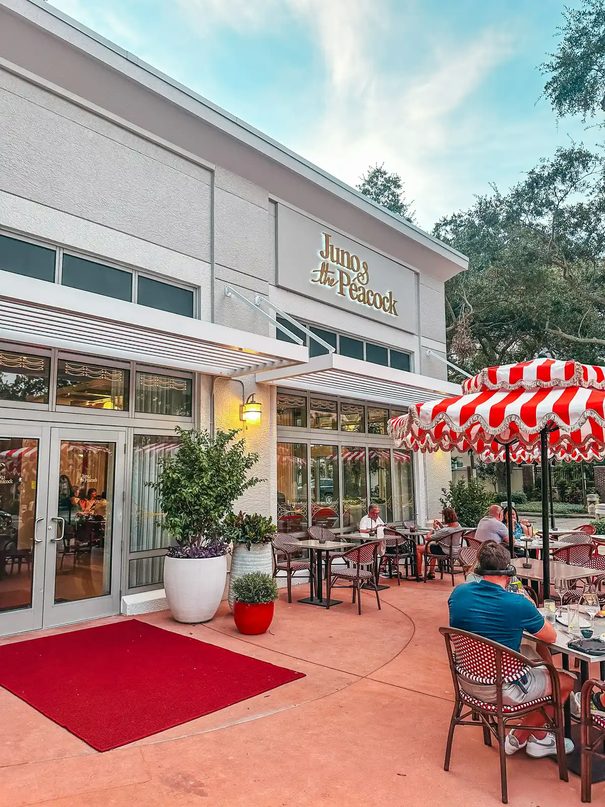 Outdoor patio at Juno & the Peacock restaurant on Beach Drive in St Pete